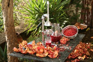 Holiday House in Sant Cinian (H�rault) or holiday homes and vacation rentals