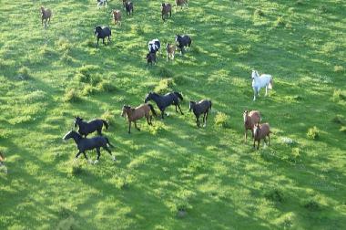 Holiday House in Pozezdrze (Warminsko-Mazurskie) or holiday homes and vacation rentals