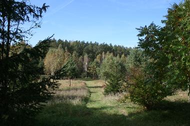 Holiday House in Pozezdrze (Warminsko-Mazurskie) or holiday homes and vacation rentals