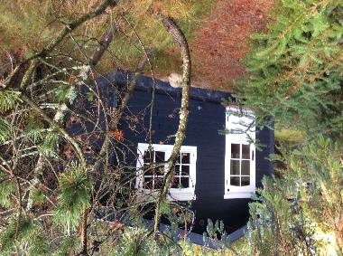 Holiday House in Blaavand (Ribe) or holiday homes and vacation rentals
