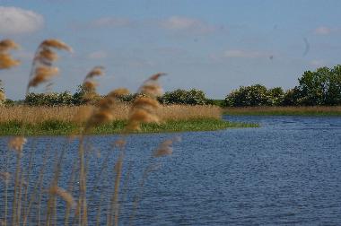 Holiday Apartment in Zudar (Ostsee-Inseln) or holiday homes and vacation rentals