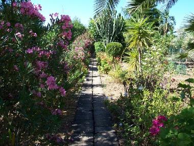 Holiday Apartment in sciacca (Agrigento) or holiday homes and vacation rentals