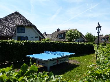 Villa in Wanneperveen (Overijssel) or holiday homes and vacation rentals