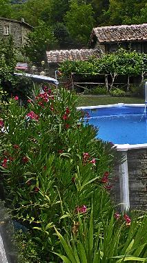 Holiday House in reggello (Firenze) or holiday homes and vacation rentals