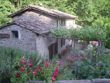 Holiday House in reggello (Firenze) or holiday homes and vacation rentals