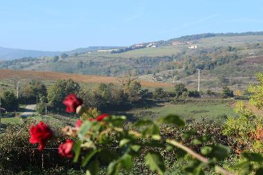 Holiday House in St Barth�l�my Le Plain (Ard�che) or holiday homes and vacation rentals