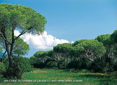 Holiday Apartment in CASTIGLIONE DELLA PESCAIA / PRINCIPINA A MARE (Gro (Grosseto) or holiday homes and vacation rentals