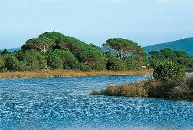 Holiday Apartment in CASTIGLIONE DELLA PESCAIA / PRINCIPINA A MARE (Gro (Grosseto) or holiday homes and vacation rentals