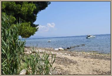 Beach near the house