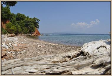 Beach near the house