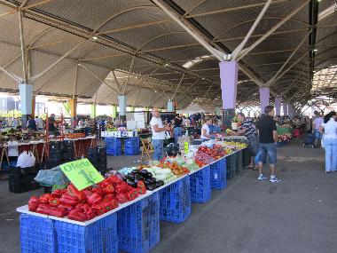 Holiday House in Borriol (Castell�n / Castell�) or holiday homes and vacation rentals