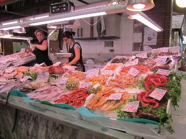 Holiday House in Borriol (Castell�n / Castell�) or holiday homes and vacation rentals