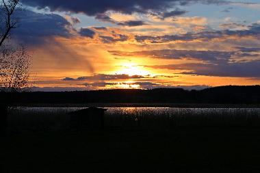 Holiday House in Garz (Ostsee-Inseln) or holiday homes and vacation rentals