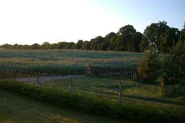 Holiday House in Garz (Ostsee-Inseln) or holiday homes and vacation rentals