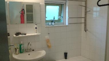 Villa in Oudemirdum (Friesland) or holiday homes and vacation rentals