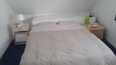 Villa in Oudemirdum (Friesland) or holiday homes and vacation rentals