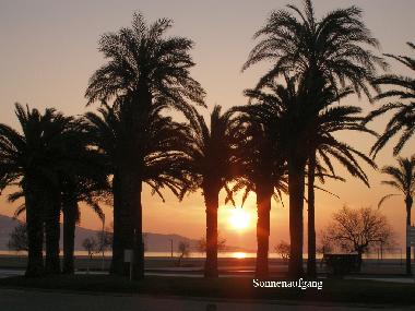 Holiday House in Empuriabrava (Girona) or holiday homes and vacation rentals