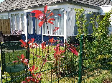 Holiday House in Breskens (Zeeland) or holiday homes and vacation rentals