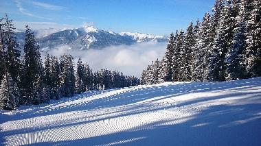 Holiday Apartment in Mhlbach (Pinzgau-Pongau) or holiday homes and vacation rentals