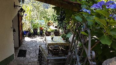 Holiday House in Orasso  (Verbano-Cusio-Ossola) or holiday homes and vacation rentals