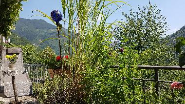 Holiday House in Orasso  (Verbano-Cusio-Ossola) or holiday homes and vacation rentals