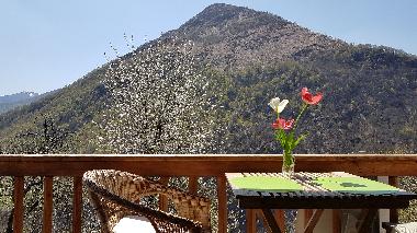 Holiday House in Orasso  (Verbano-Cusio-Ossola) or holiday homes and vacation rentals