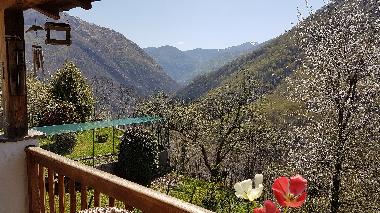 Holiday House in Orasso  (Verbano-Cusio-Ossola) or holiday homes and vacation rentals