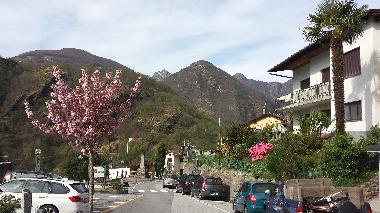 Holiday House in Orasso  (Verbano-Cusio-Ossola) or holiday homes and vacation rentals