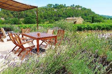Holiday House in M�nerbes (Vaucluse) or holiday homes and vacation rentals