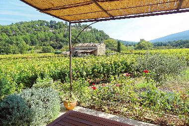 Holiday House in M�nerbes (Vaucluse) or holiday homes and vacation rentals
