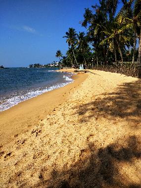 Holiday House in Moragalla / Godalla (Kalutara) or holiday homes and vacation rentals