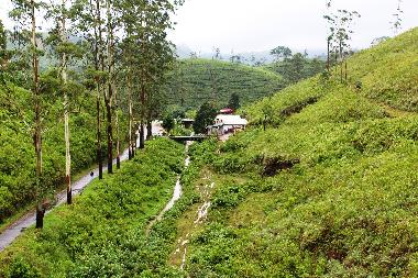 Holiday House in Moragalla / Godalla (Kalutara) or holiday homes and vacation rentals