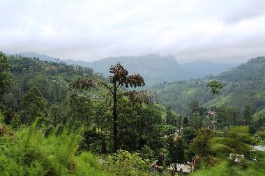 Holiday House in Moragalla / Godalla (Kalutara) or holiday homes and vacation rentals