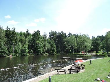 Holiday House in Hasselfelde (Harz) or holiday homes and vacation rentals