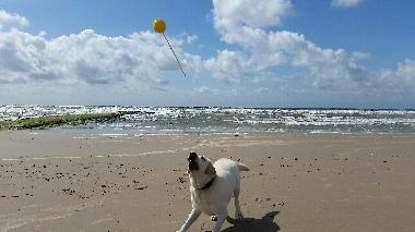 Holiday House in Julianadorp aan Zee (Noord-Holland) or holiday homes and vacation rentals