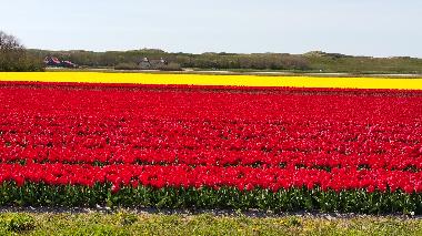 Holiday House in Julianadorp aan Zee (Noord-Holland) or holiday homes and vacation rentals