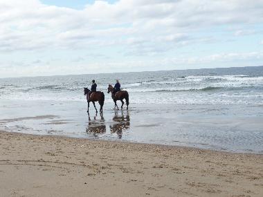 Holiday House in Julianadorp aan Zee (Noord-Holland) or holiday homes and vacation rentals
