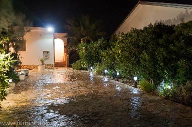 Holiday House in Vir (Zadarska) or holiday homes and vacation rentals