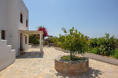 Villa in naxos (Kyklades) or holiday homes and vacation rentals