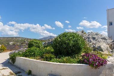 Villa in naxos (Kyklades) or holiday homes and vacation rentals