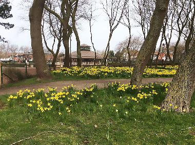 Holiday Apartment in De Haan (Vosseslag) (Flanders) or holiday homes and vacation rentals