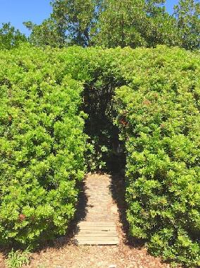 Holiday House in Porto Vecchio (Corse-du-Sud) or holiday homes and vacation rentals