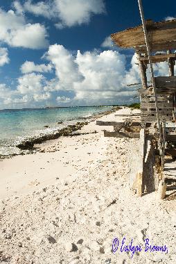 Holiday Apartment in Kralendijk (Bonaire) or holiday homes and vacation rentals