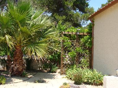 Holiday House in Lezignan Corbieres (Aude) or holiday homes and vacation rentals