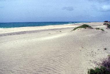 Holiday House in Morro / Maio (Maio) or holiday homes and vacation rentals