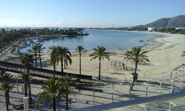 Holiday Apartment in Pto.Alcudia (Mallorca) or holiday homes and vacation rentals