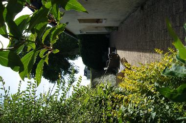 Holiday House in BRETTEVILLE DU GRAND CAUX (Seine-Maritime) or holiday homes and vacation rentals