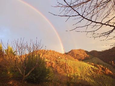 Bed and Breakfast in Sassocorvaro (Pesaro e Urbino) or holiday homes and vacation rentals