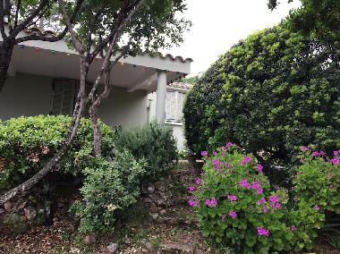 Holiday House in Porto Vecchio (Corse-du-Sud) or holiday homes and vacation rentals
