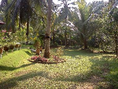 Holiday House in KALUTARA (Kalutara) or holiday homes and vacation rentals